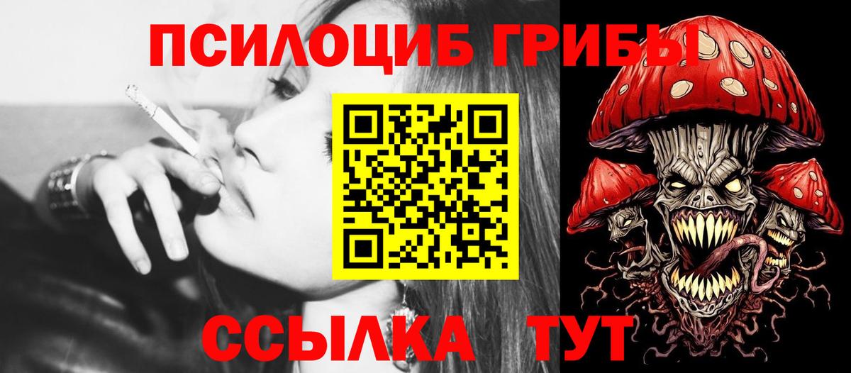 Псилоцибиновые грибы мухоморы  Псилоцибиновые грибы Psilocybe  купить закладку  Киселёвск  Вход с VPN 